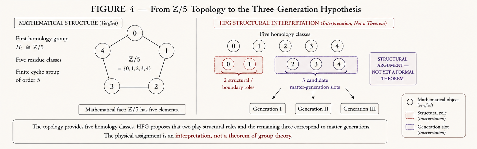 Diagram distinguishing the verified mathematical fact that H1 is isomorphic to Z/5 from HFG's structural interpretation splitting the five homology classes into two structural roles and three matter-generation slots, explicitly labeled as an interpretation and not a theorem.